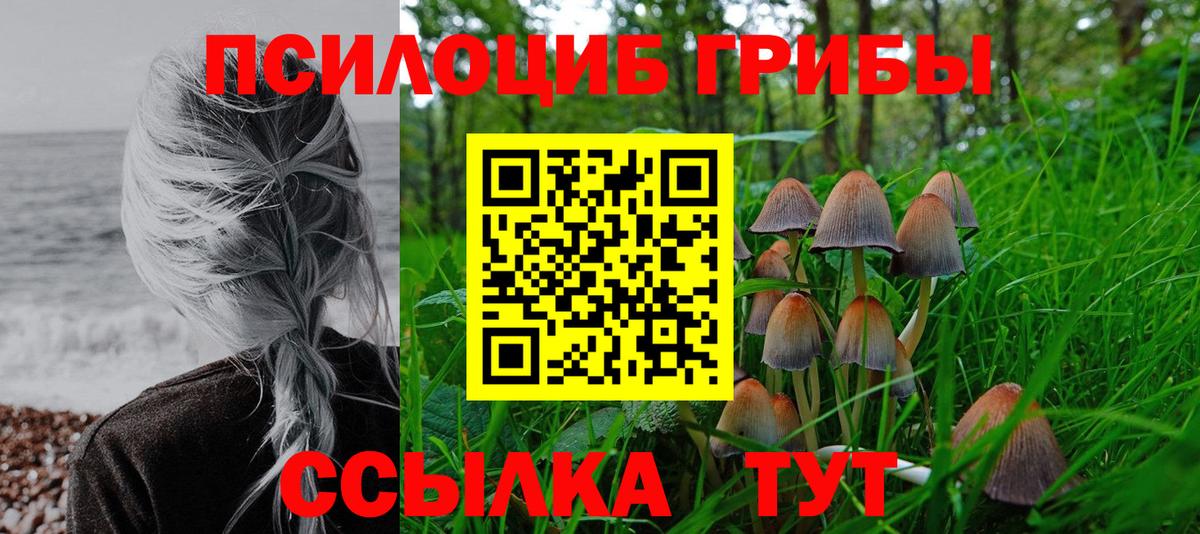 Псилоцибиновые грибы мухоморы Волжский