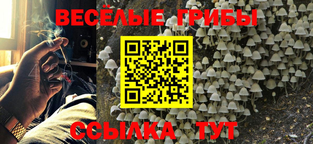 Псилоцибиновые грибы прущие грибы  Вход с VPN  Волжский  Галлюциногенные грибы GOLDEN TEACHER 